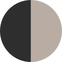 THE FORM