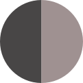THE FORM